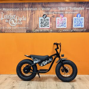 UNIKRIDE Fat Fun – Draisienne électrique enfant FATBIKE 250 W